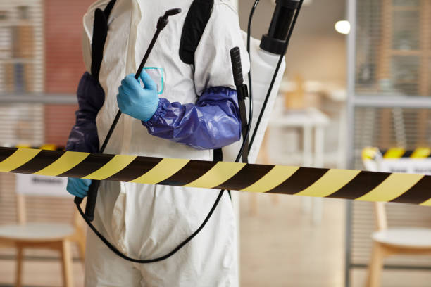 Professional Hoarding Cleanup technician working in Parker, WA